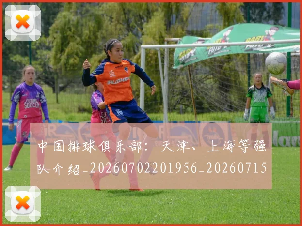中国排球俱乐部：天津、上海等强队介绍_20260702201956_20260715194115